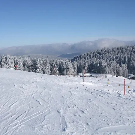 Lägenhet Scenic In With Terrace Todtnauberg