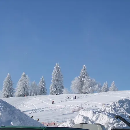 Lägenhet Scenic In With Terrace Todtnauberg