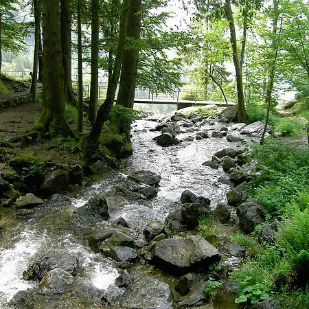 Lägenhet Scenic In With Terrace Todtnauberg