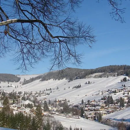 Lägenhet Scenic In With Terrace Todtnauberg