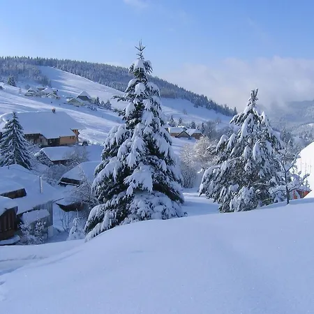Lägenhet Scenic In With Terrace Todtnauberg