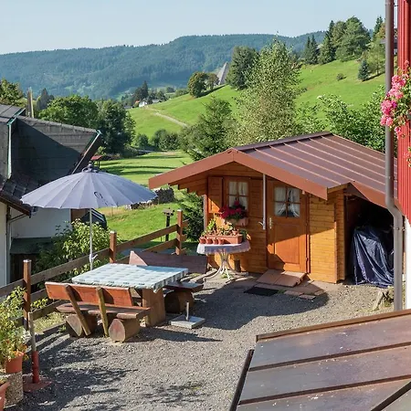 Scenic In With Terrace Lägenhet Todtnauberg